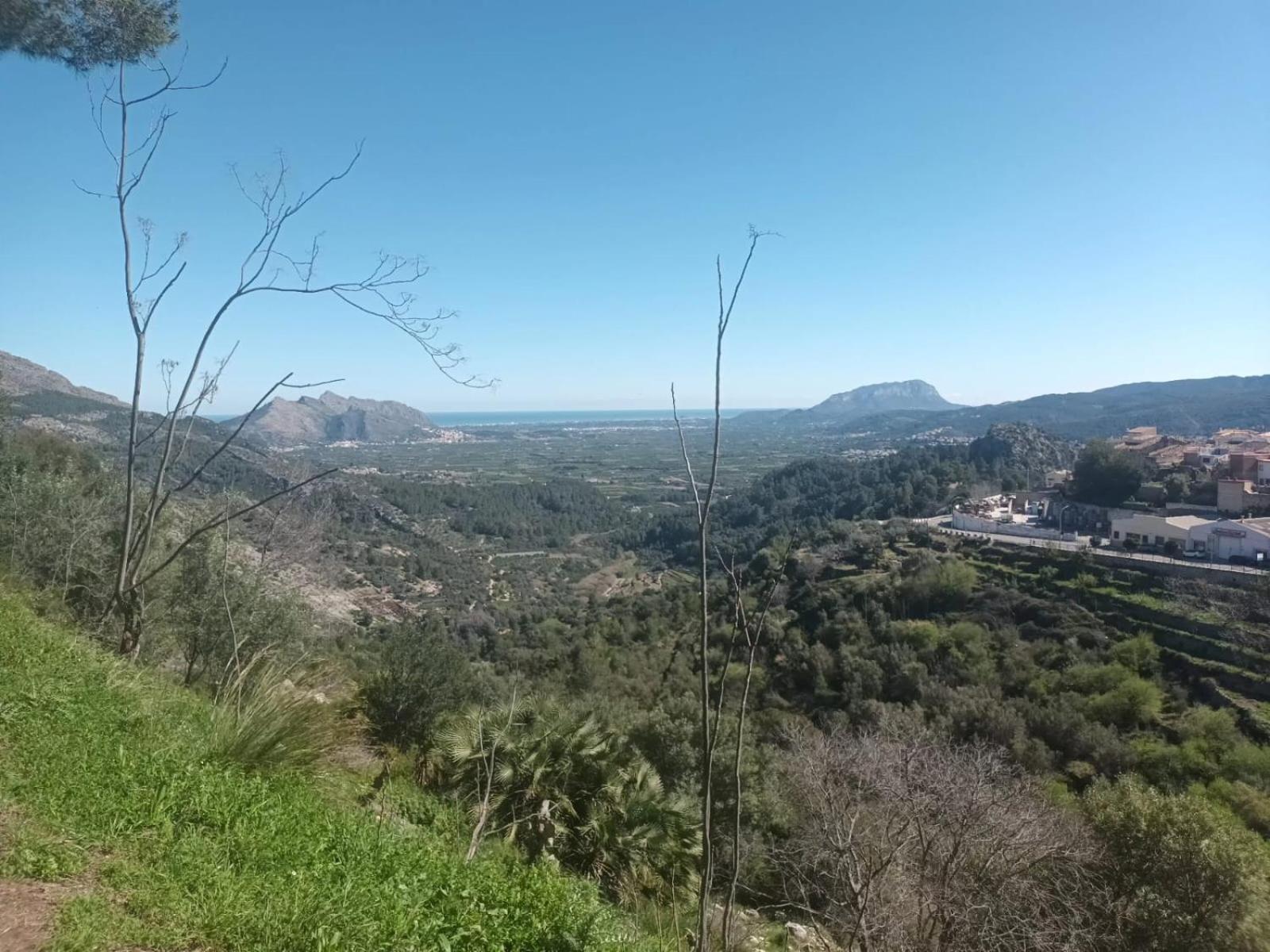 Casa Penya Fegina בנימאוריי מראה חיצוני תמונה